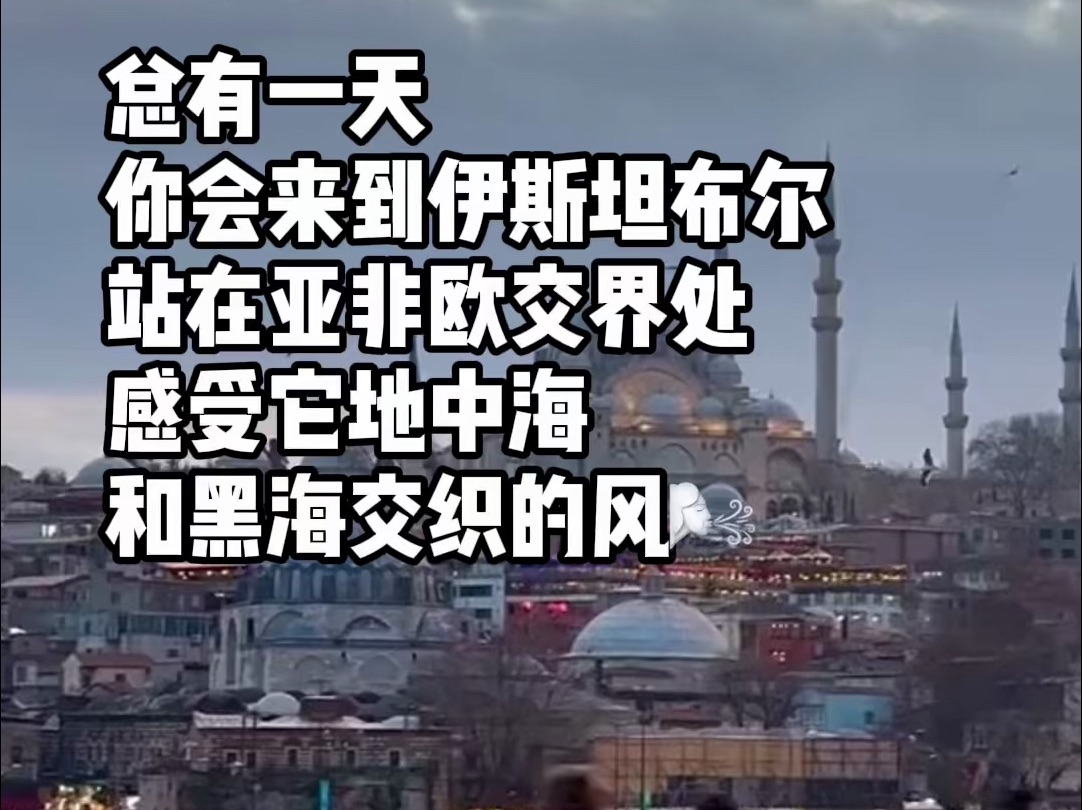 站在博斯普鲁斯海峡享受海风,感受滚滚向前的历史长河哔哩哔哩bilibili