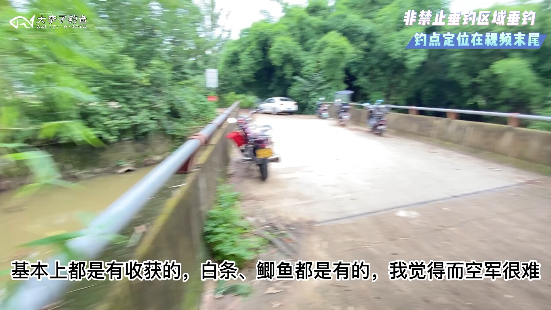 西江河钓点,免费垂钓不限量.