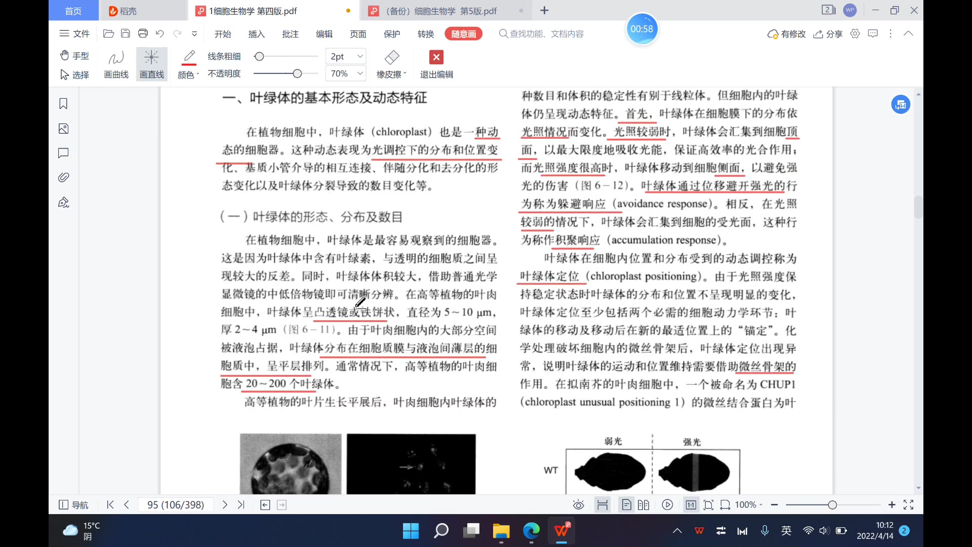 细胞生物学课本带读——第六章 线粒体和叶绿体(2)哔哩哔哩bilibili