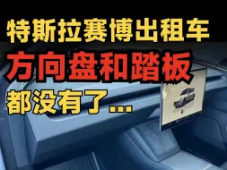 Download Video: 特斯拉赛博出租车：没有方向盘和油门刹车