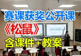 Download Video: 《松鼠》公开课优质课，24新课标获奖课，比赛课堂实录(带教案PPT)