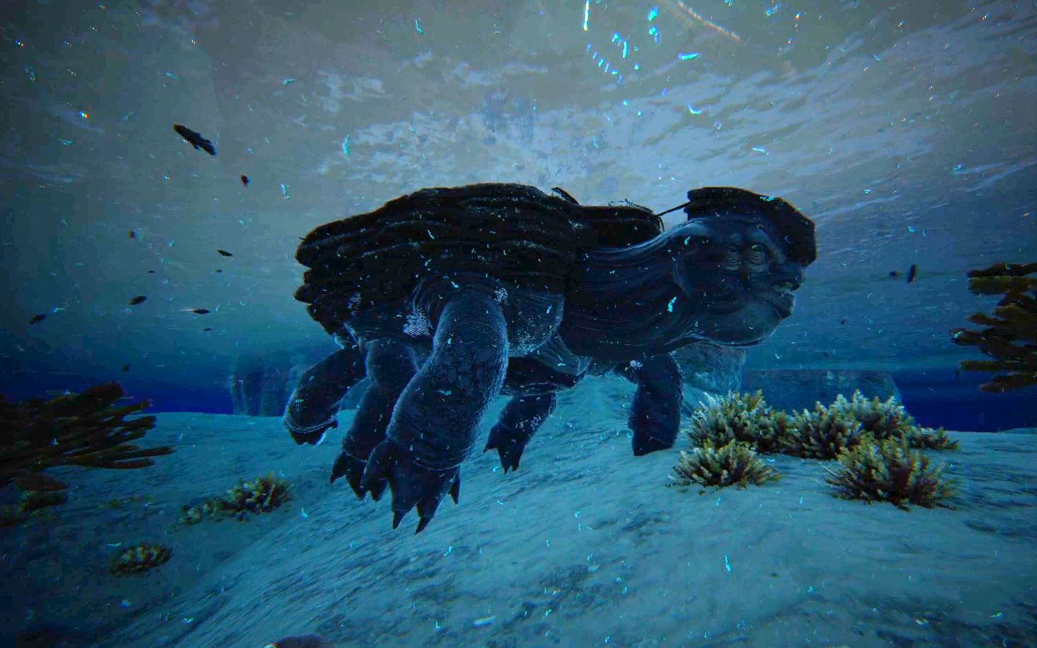 活动  【方舟:创世纪】第6期——历经磨难训岛龟