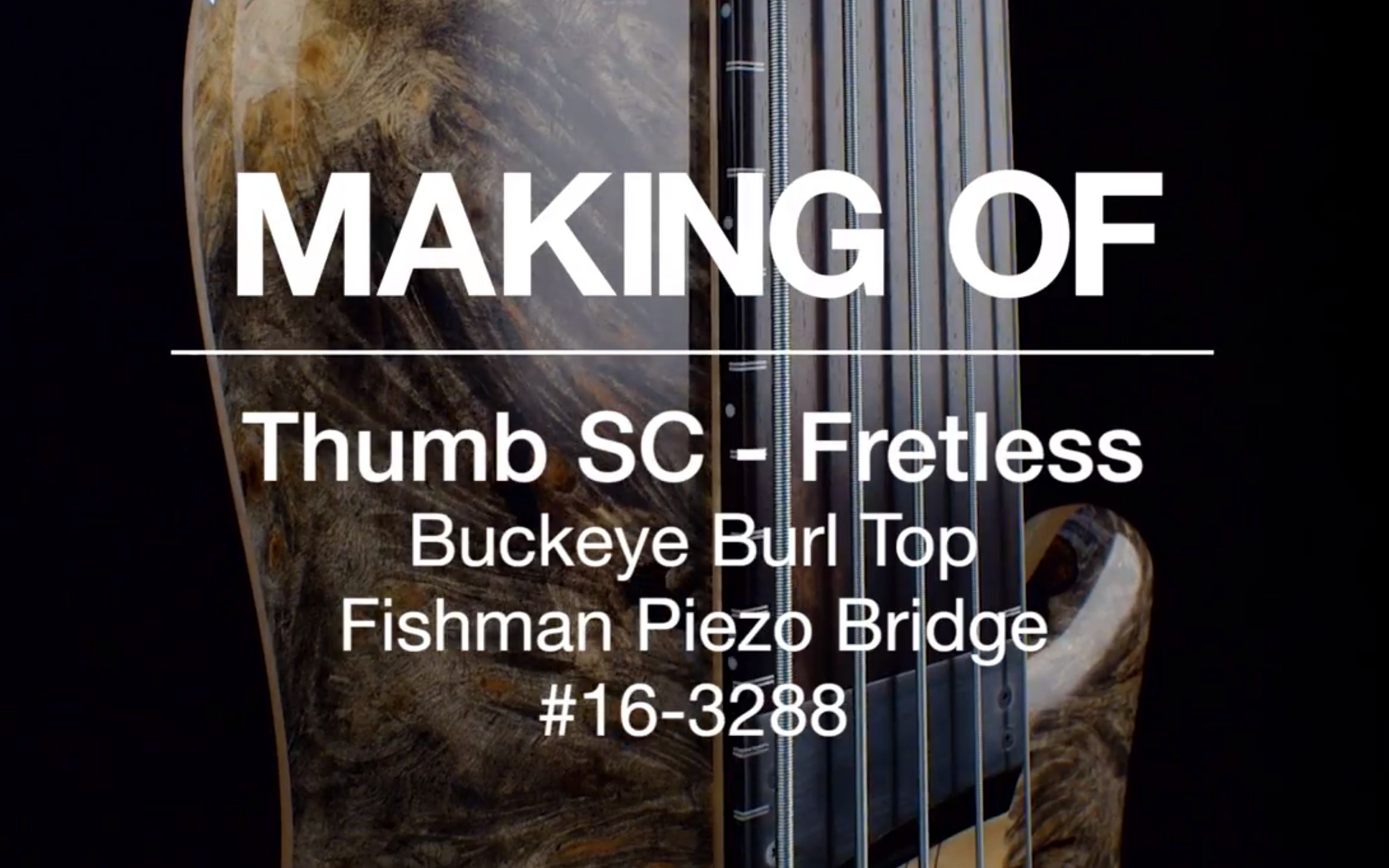 【贝斯】Warwick Thumb SC Fretless Bass  Buckeye Burl Top哔哩哔哩bilibili