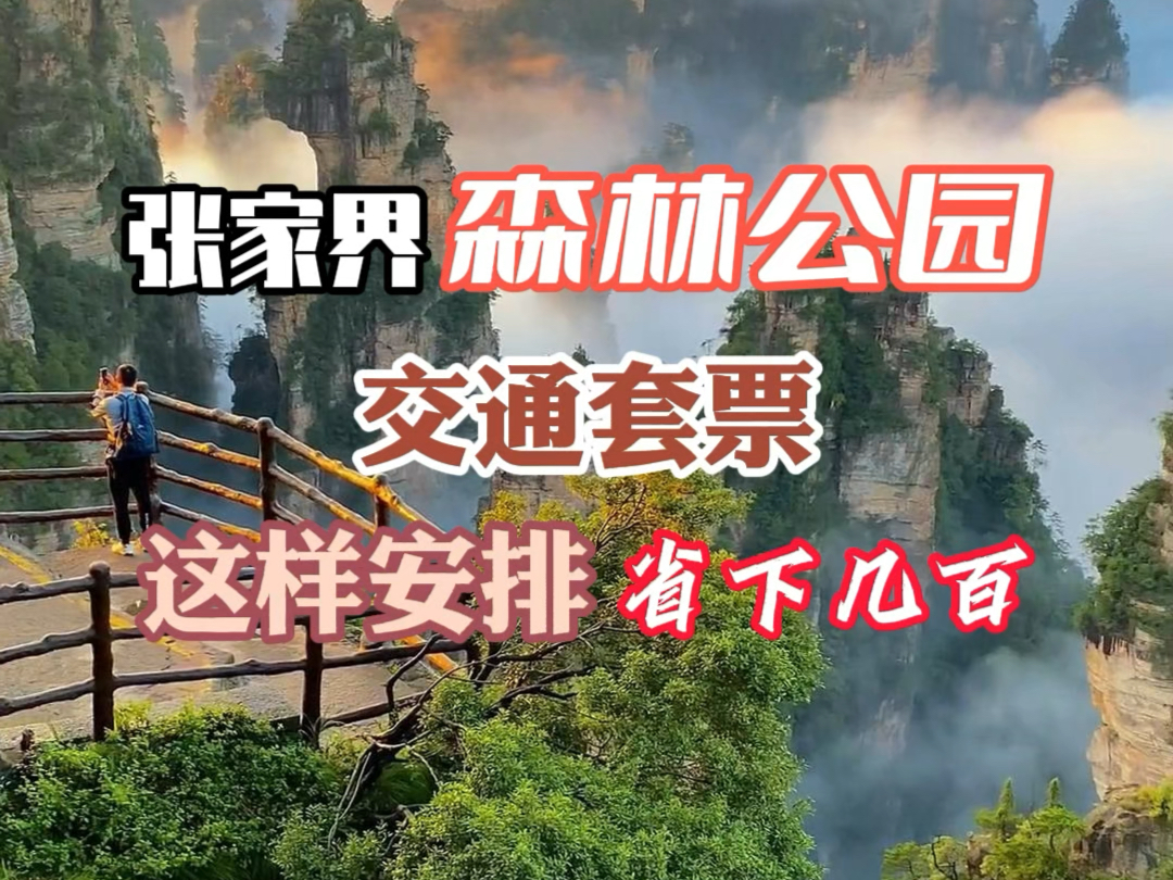 原来你们不知道张家界国家森林公园可以买交通套票啊,省下来的圆子,在张家界多吃几顿美食,它不香吗?#张家界国家森林公园游玩攻略#百龙电梯#张家...