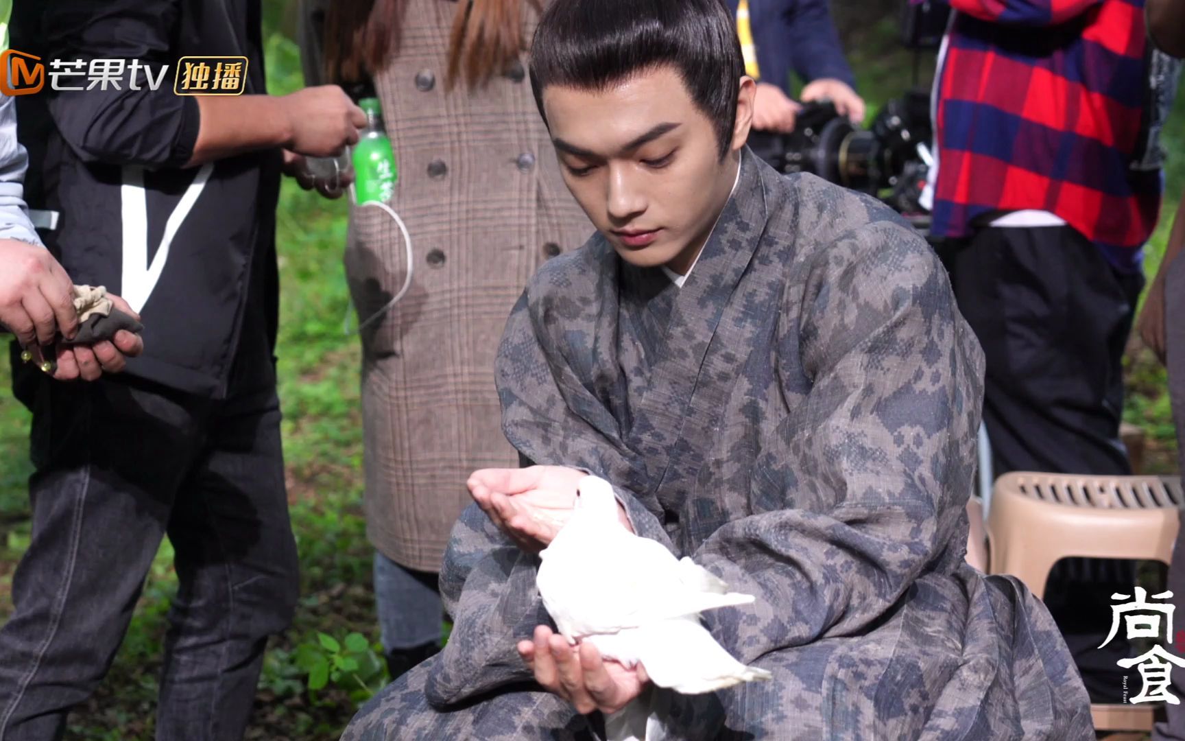 尚食花絮小尚今天竟然羡慕了一只鸽子瞻基真的好温柔啊鸽子到了我们小