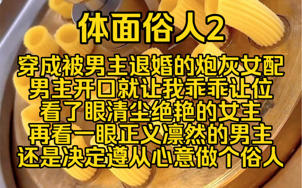 (完结葂费)体面俗人2:穿成被男主退婚的炮灰女配,男主开口就让我乖乖让位,我看了眼男主身后清尘绝艳的女主,再看一眼到正义凛然的男主,还是决...