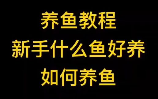 【水族】养鱼教程(一)对养鱼新手而言什么鱼好养,如何养鱼,养鱼新手应注意的问题哔哩哔哩bilibili