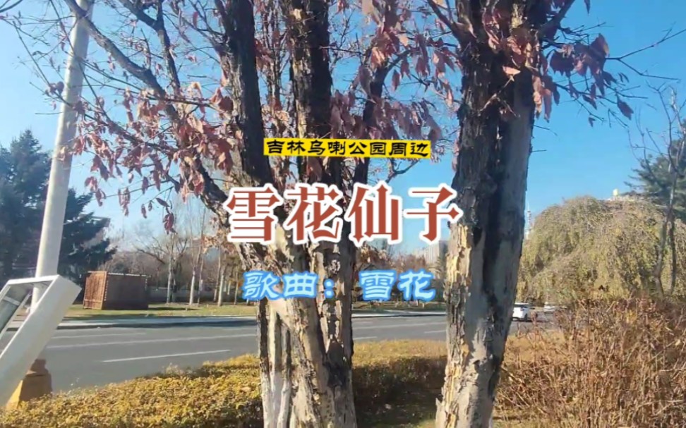 雪花仙子:位于吉林市吉林乌喇公园周边哔哩哔哩bilibili