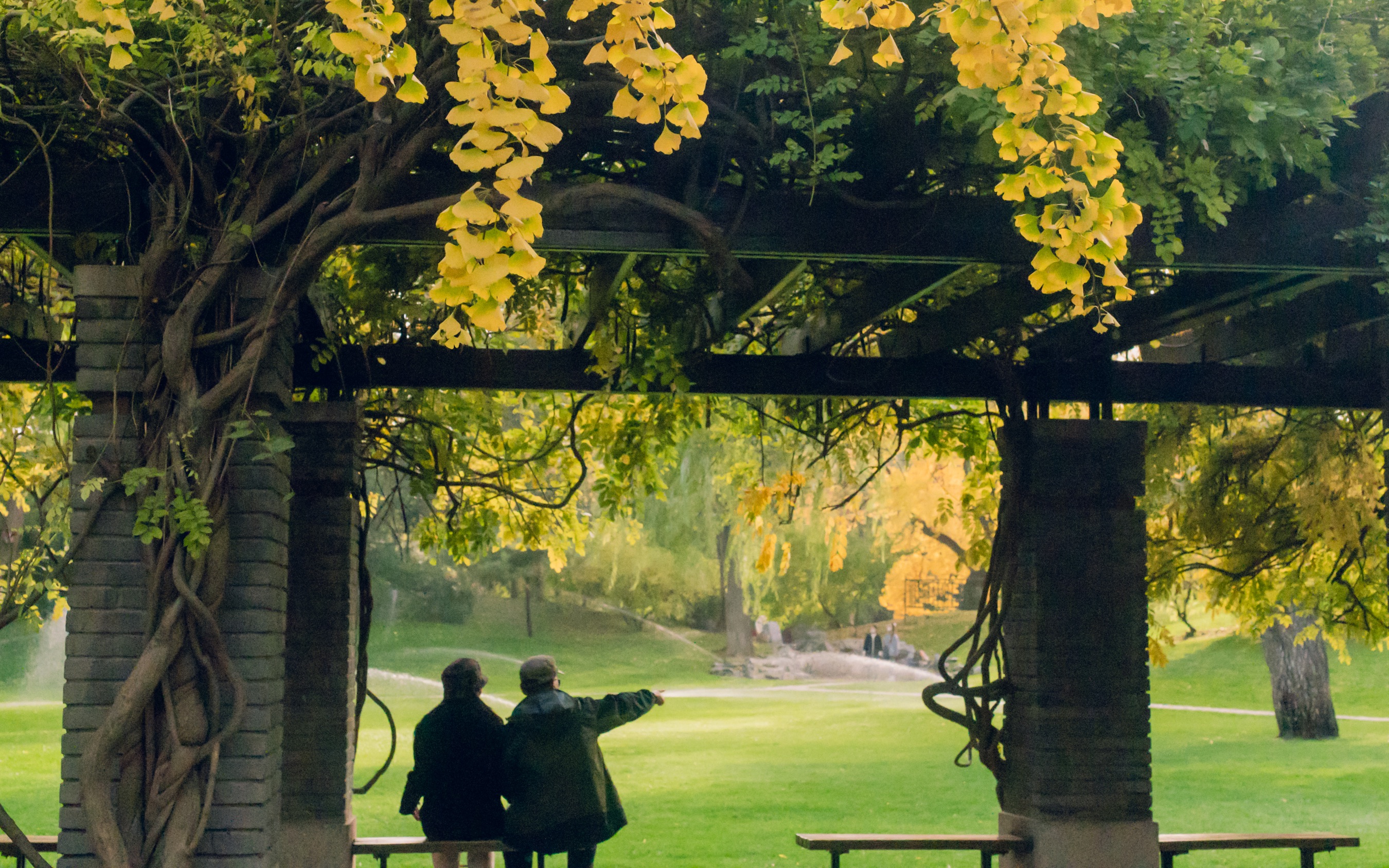 生活光影|主动认真过好此时此刻,这本身就是跳舞