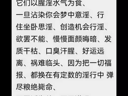 戒哔哩哔哩bilibili