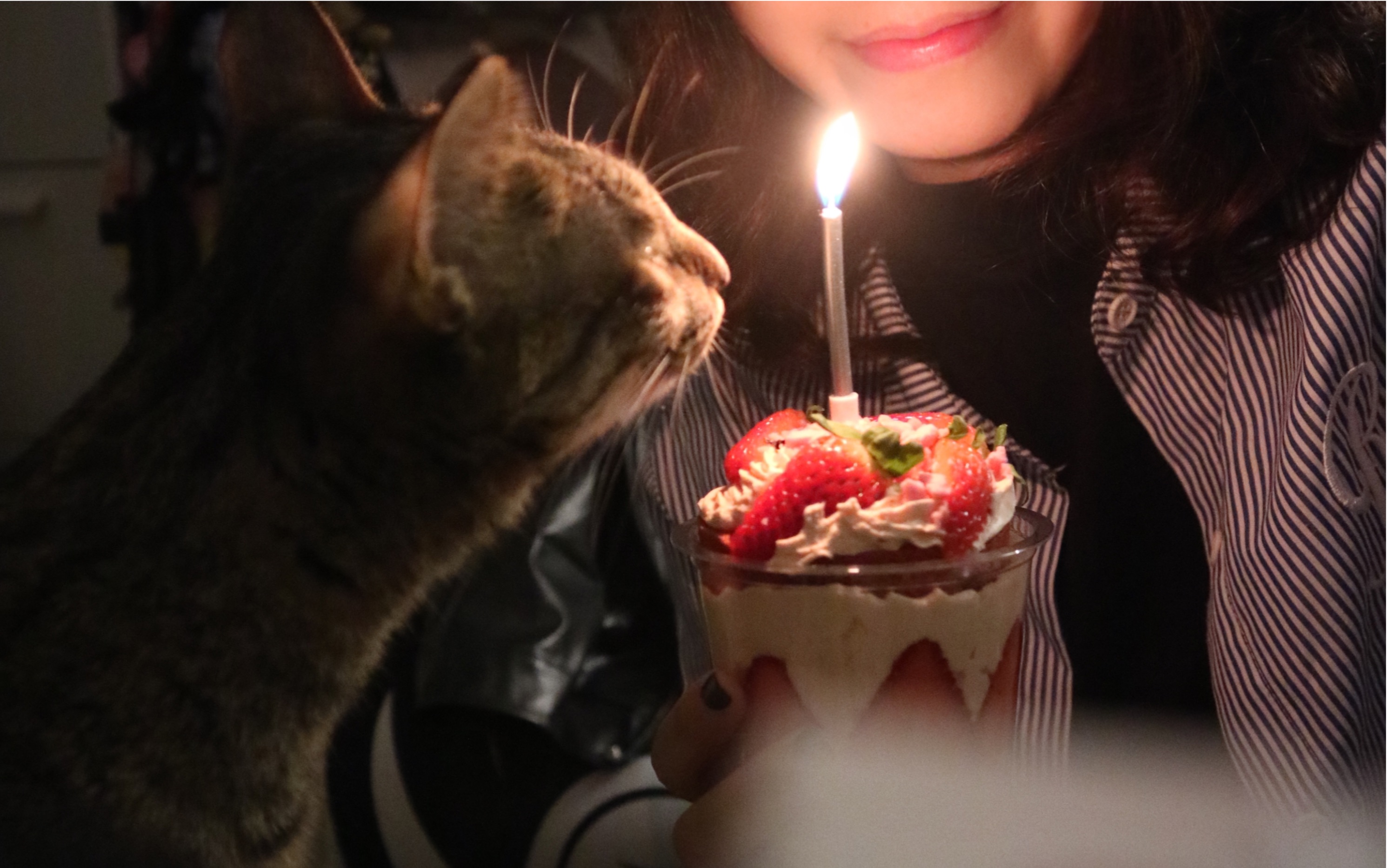 一个人也要好好过生日呀!