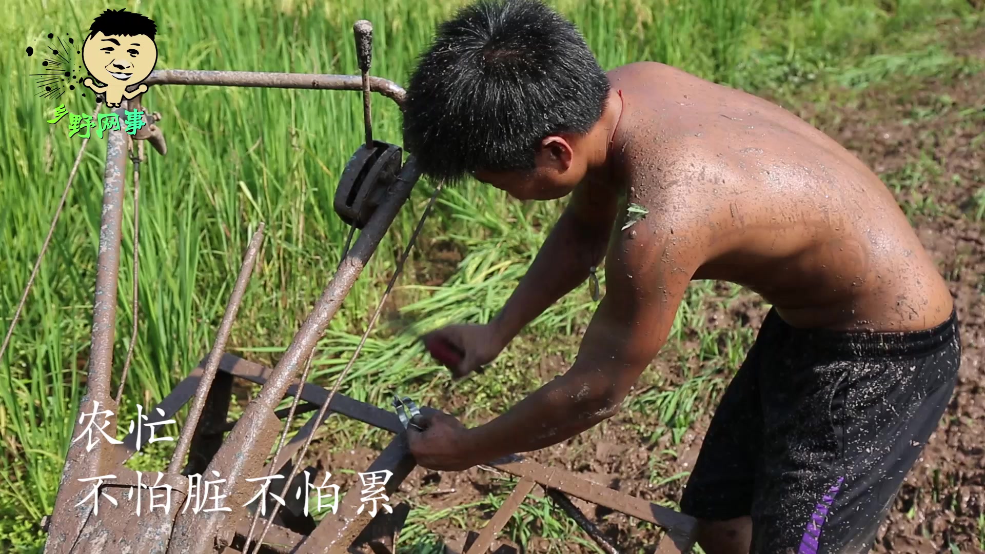 [图]乡野网事：60岁老人接替儿子耙田，看了才知道农民的辛苦，难怪越来越多的农民往大城市跑了