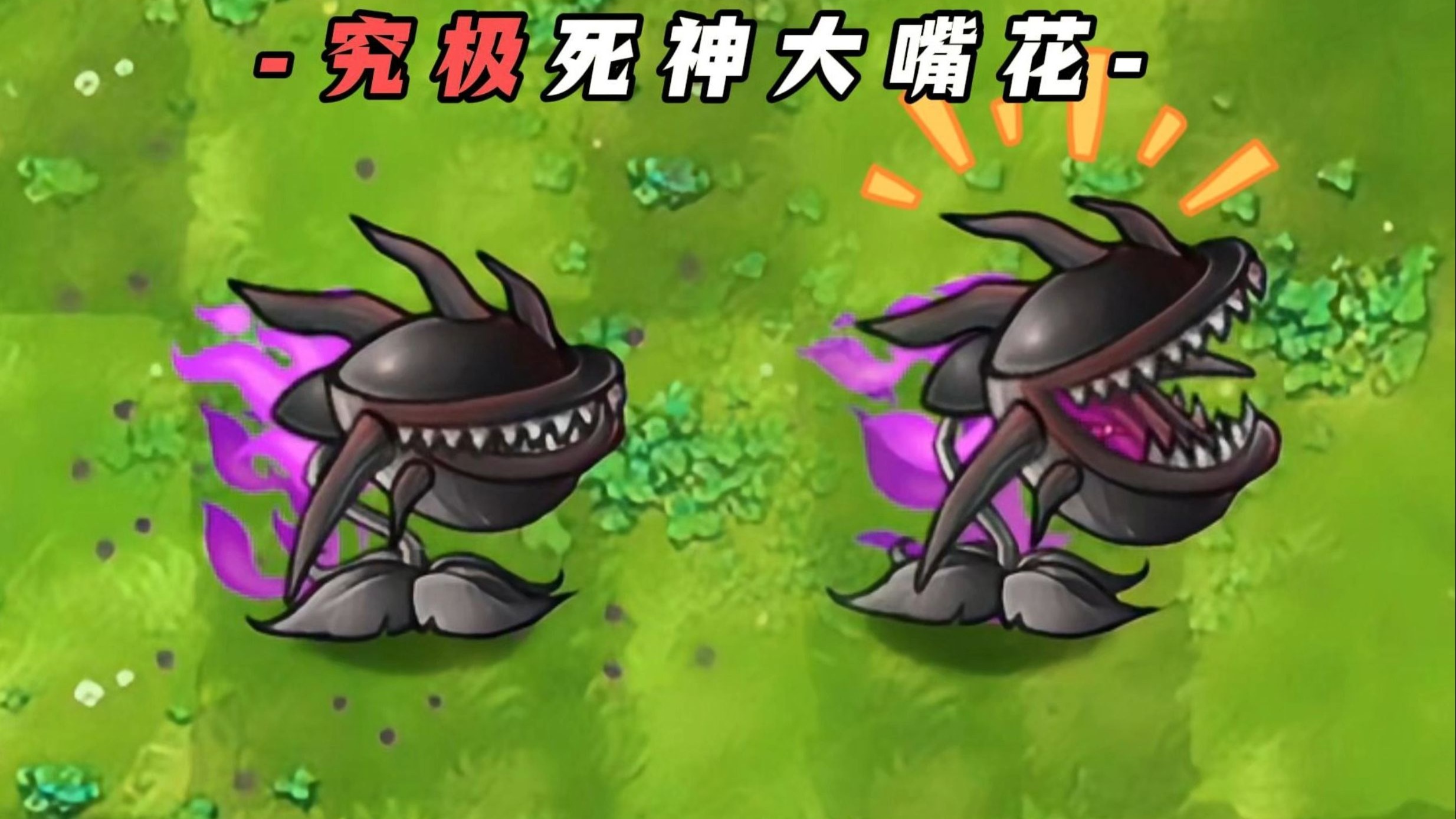 "内鬼植物"死神大嘴花,竟然能克制黑大帅?