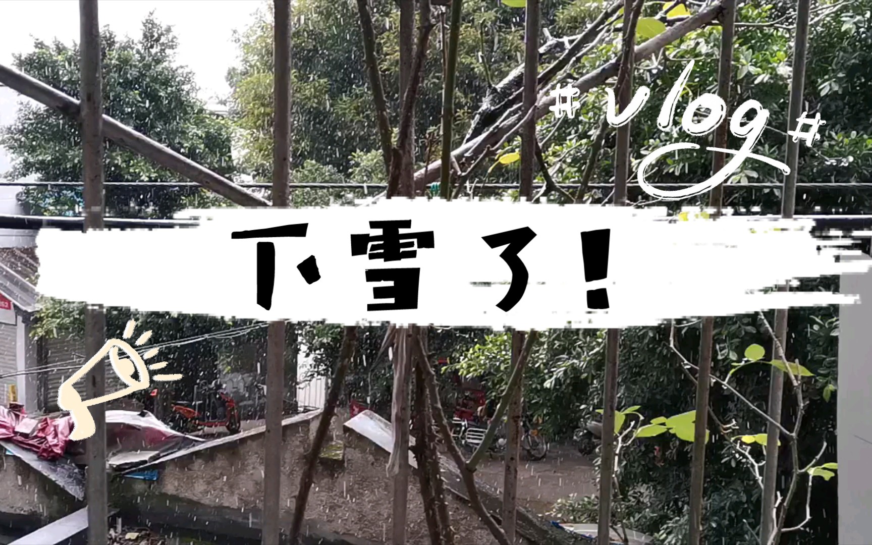 重庆主城,居然下雪了,雪还挺大的,可惜没有积雪