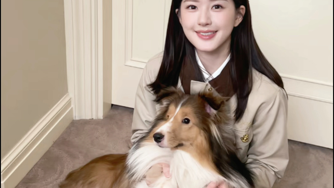 【赵露思】美女与小狗