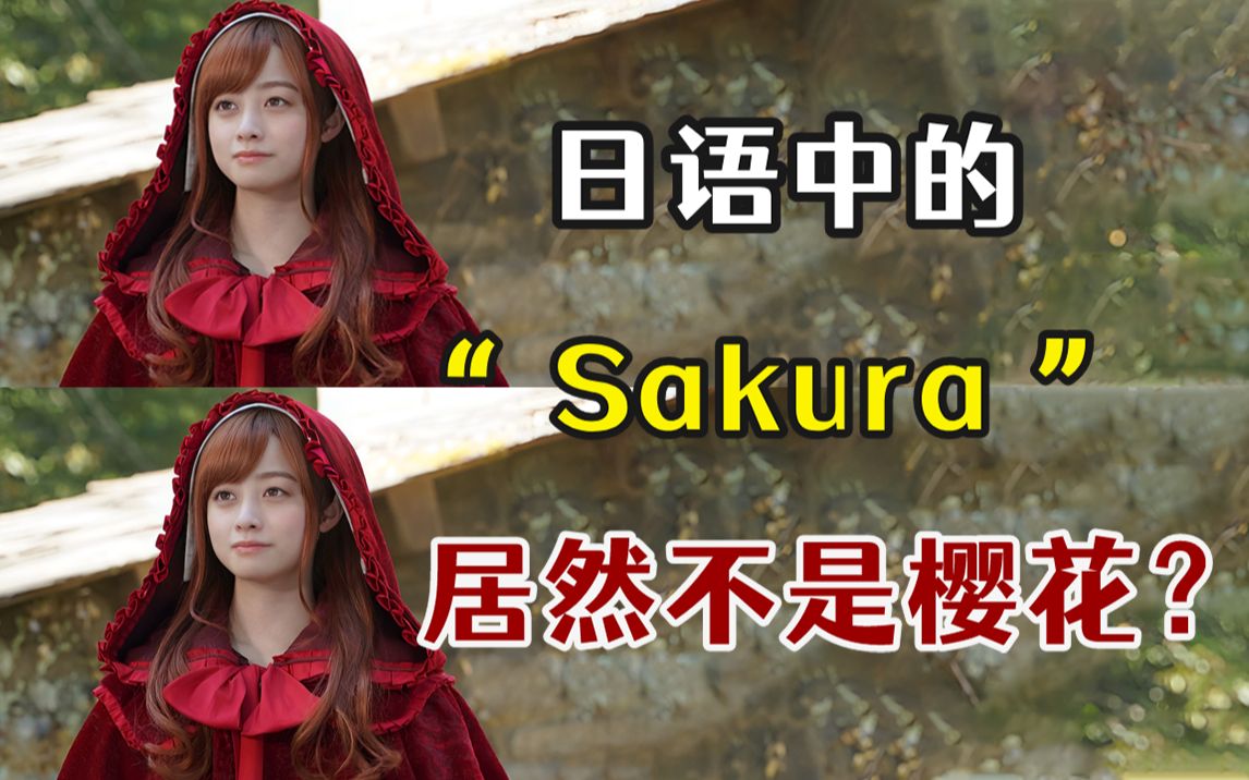 你知道在日本“sakura”到底是什么意思吗?哔哩哔哩bilibili