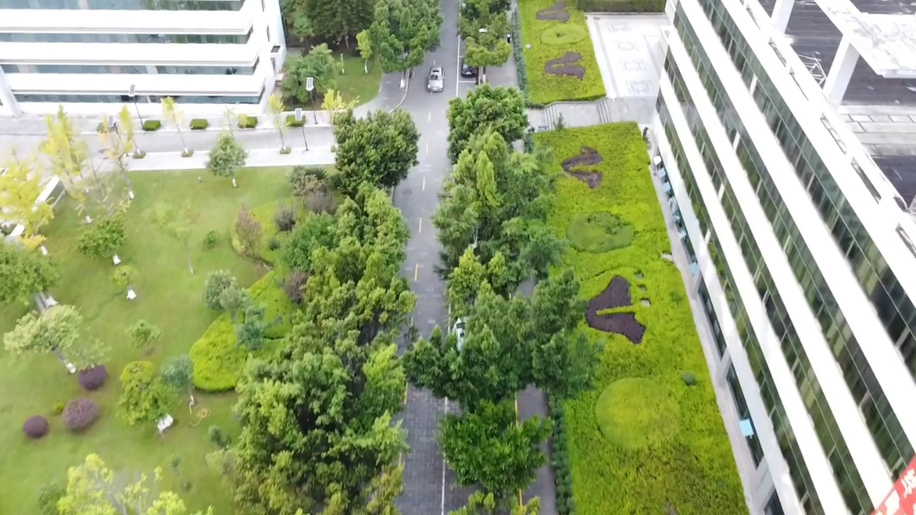 楚雄师范学院花果山校区