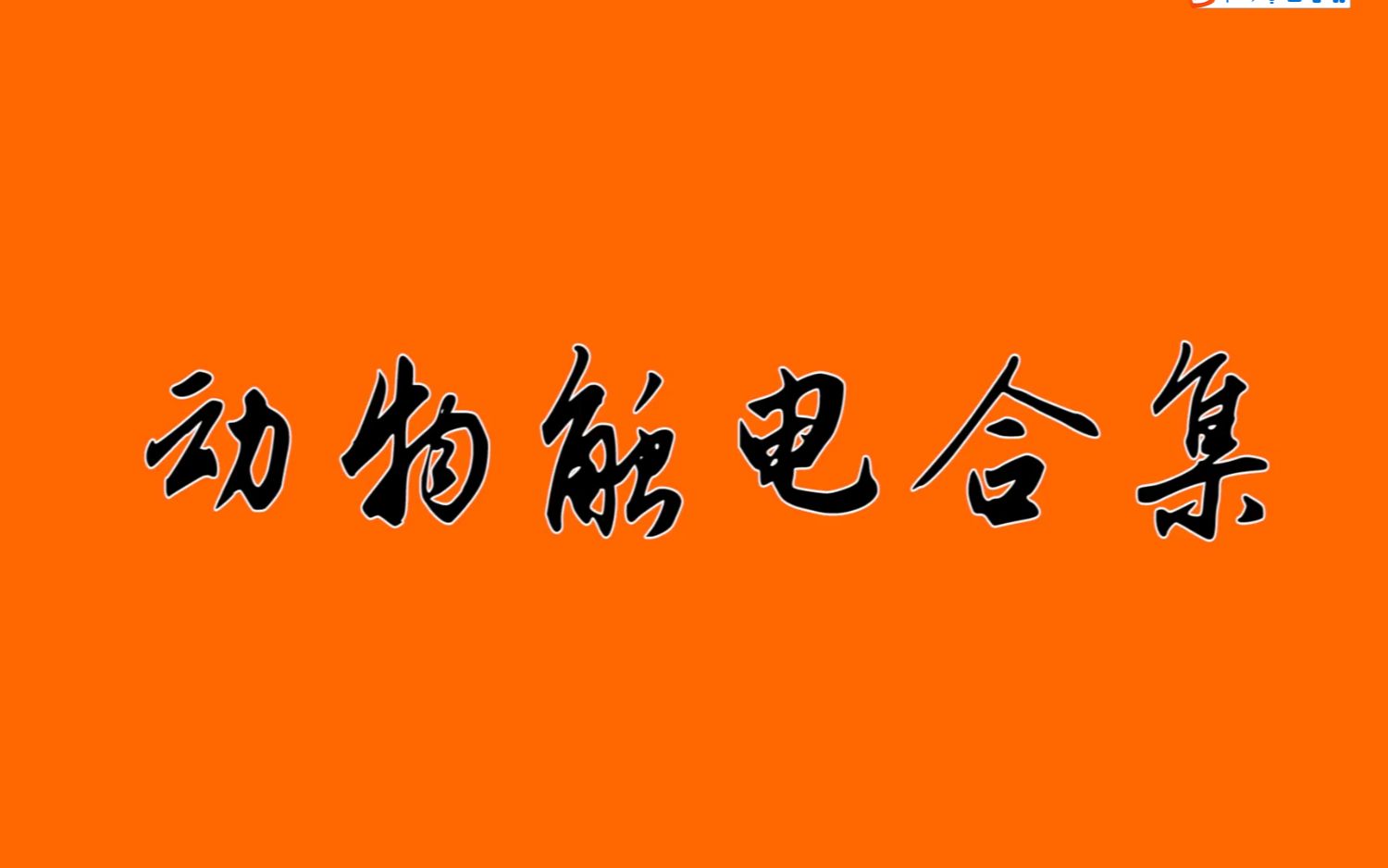 【动物被电】动物界触电合集,猴哥让高压电击中身体直挺,狗熊被电的全身冒火哔哩哔哩bilibili