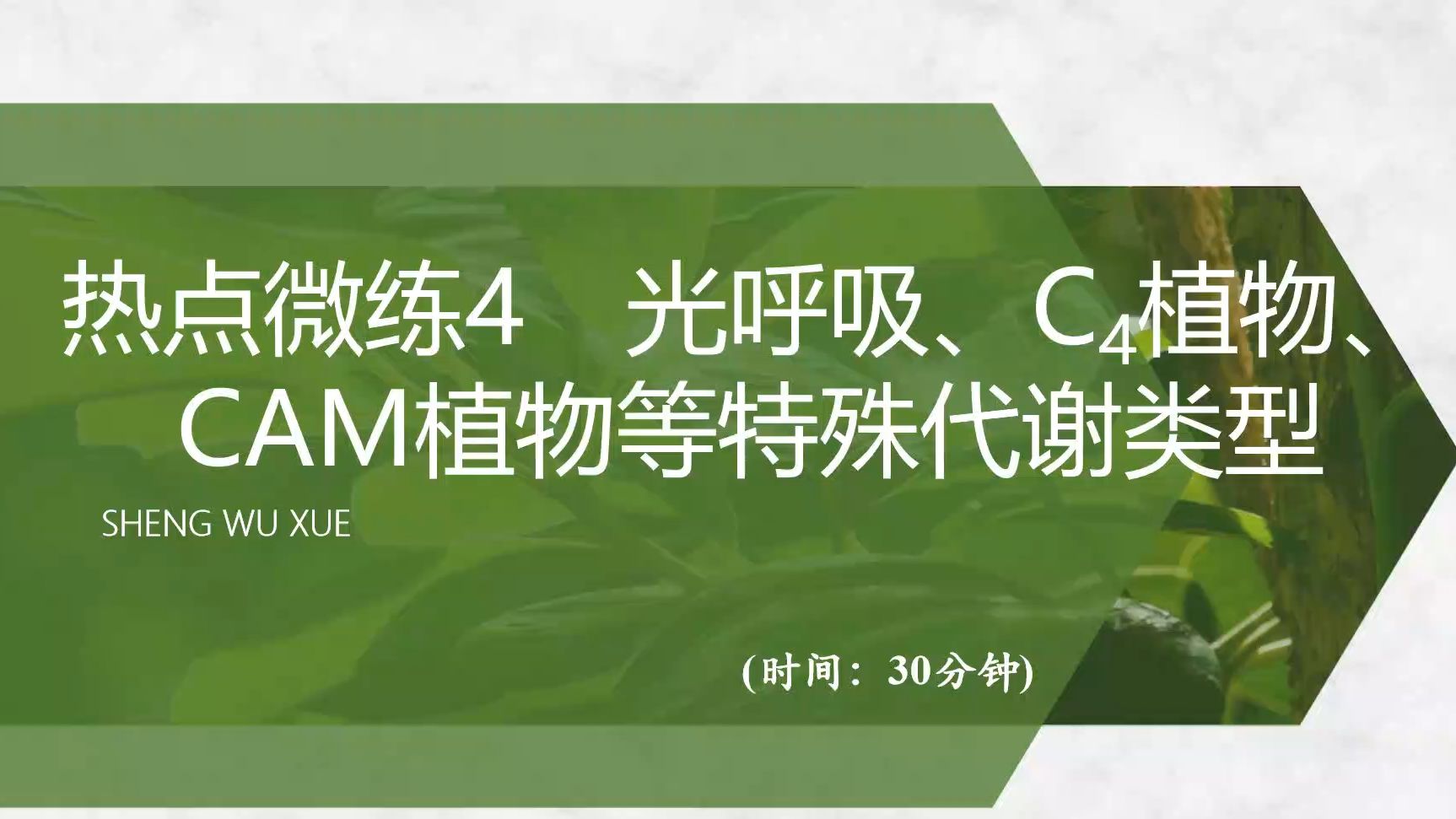 【2025高中生物一轮复习】热点微练4光呼吸C4植物CAM景天酸植物等特殊代谢类型 新高考创新设计全国通用新教材新课标网课必修一必修二选择性必修...