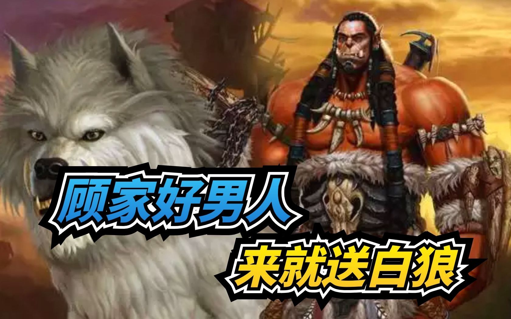 【老司机】顾家好男人,来就送白狼,霜狼兽人阵营声望攻略(魔兽世界