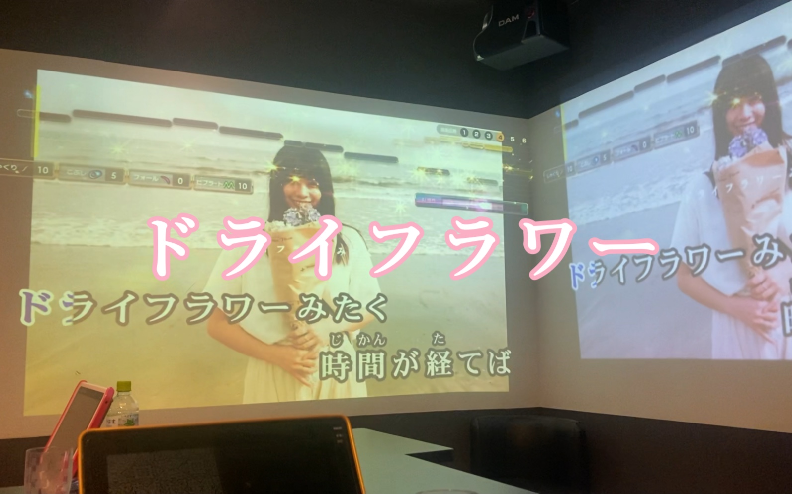 ktv摸鱼ドライフラワー干花哔哩哔哩bilibili