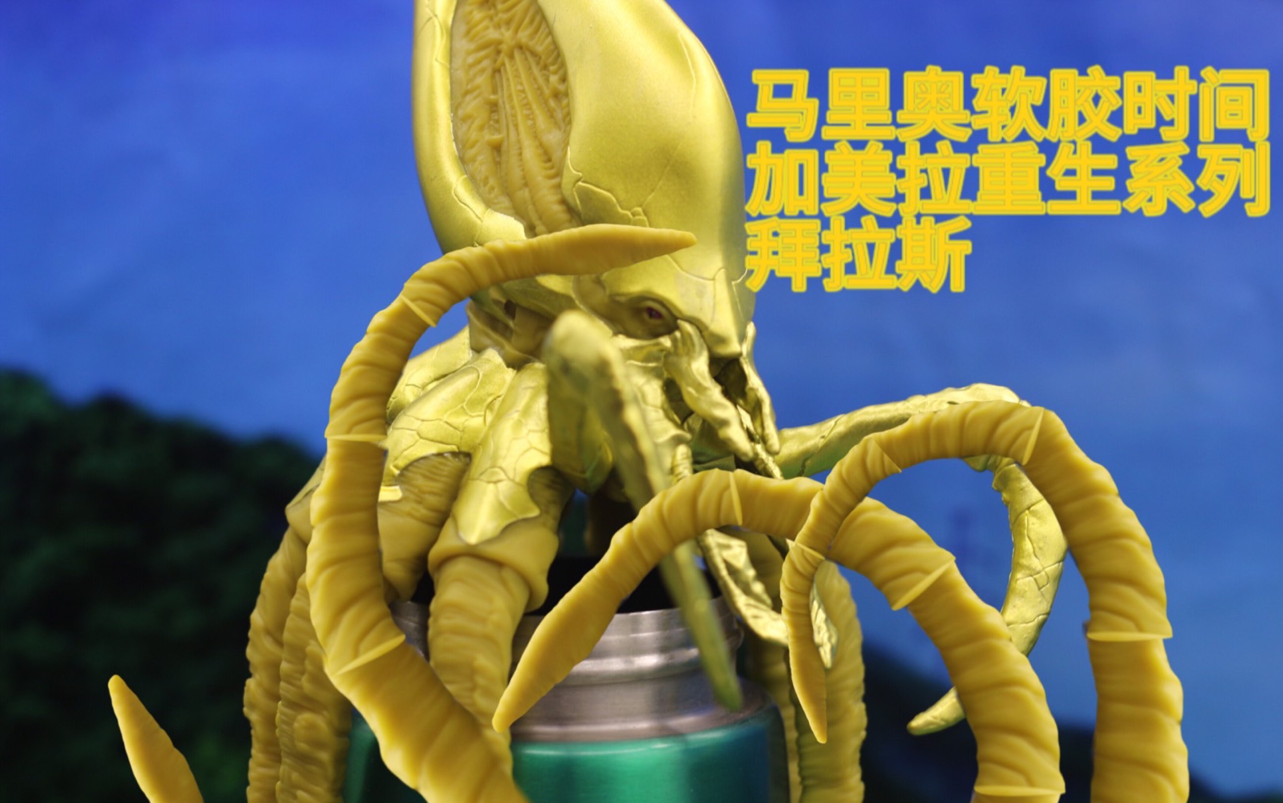 【首发】入坑加美拉辣!拜拉斯20233分钟速测!