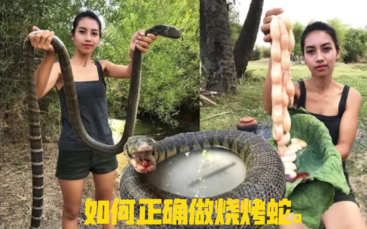 原始科技:森林烹饪生存技能| 荒野科技 碳烤蛇 美味