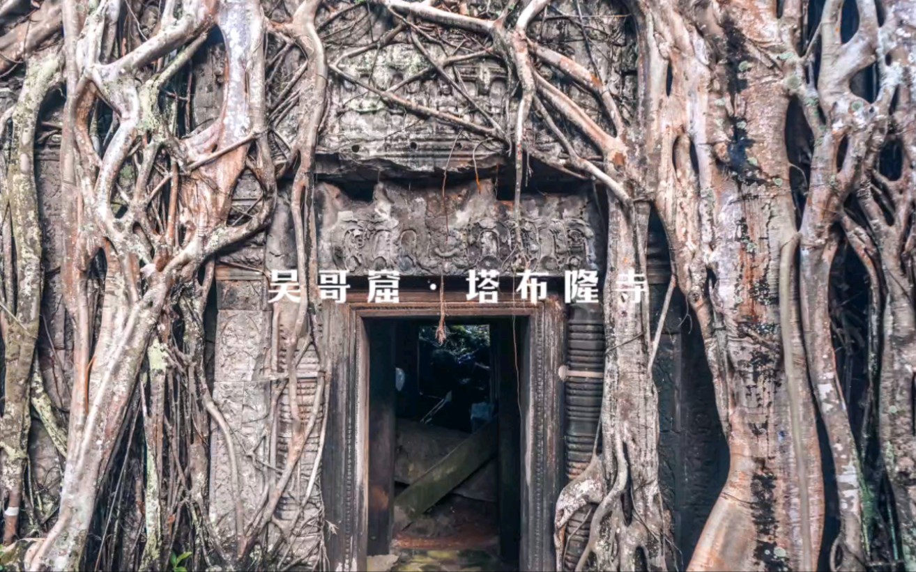 柬埔寨|吴哥窟最神奇的神庙,塔布隆寺!花样年华和古墓丽影取景地!哔哩哔哩bilibili