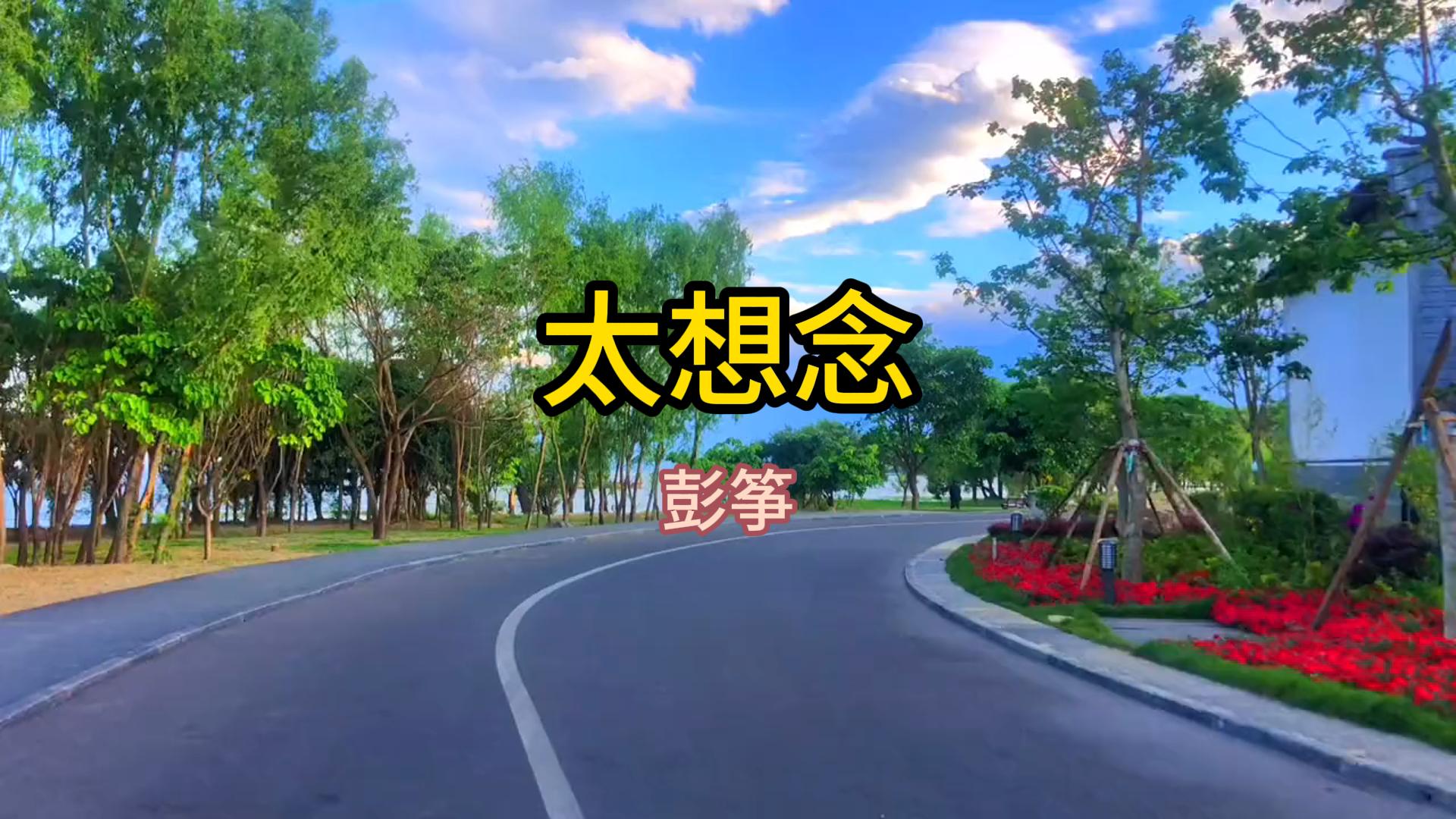 太想念 #回味经典歌曲