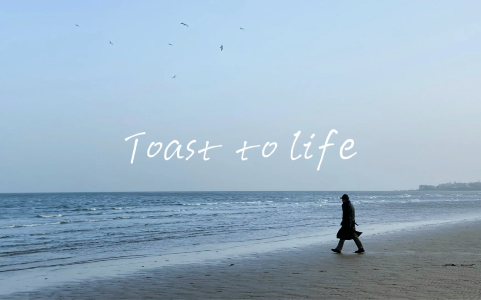 [图]Toast to life