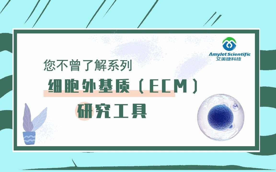 您不曾了解系列:细胞外基质(ECM)研究工具哔哩哔哩bilibili