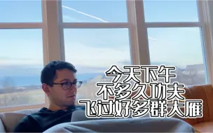 Download Video: 今天下午不长时间，窗外飞过好多群大雁！