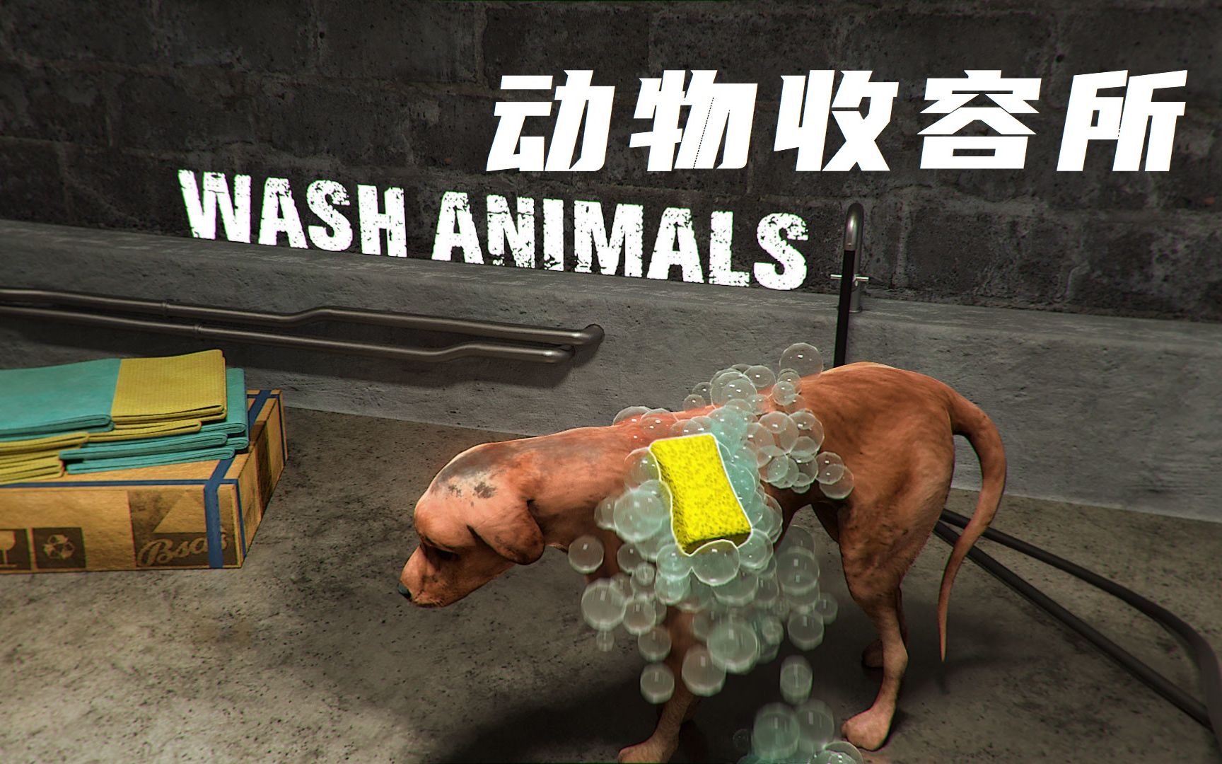 【新游试玩】动物收容所 animal shelter 清洁,玩耍,喂食,问诊,互动