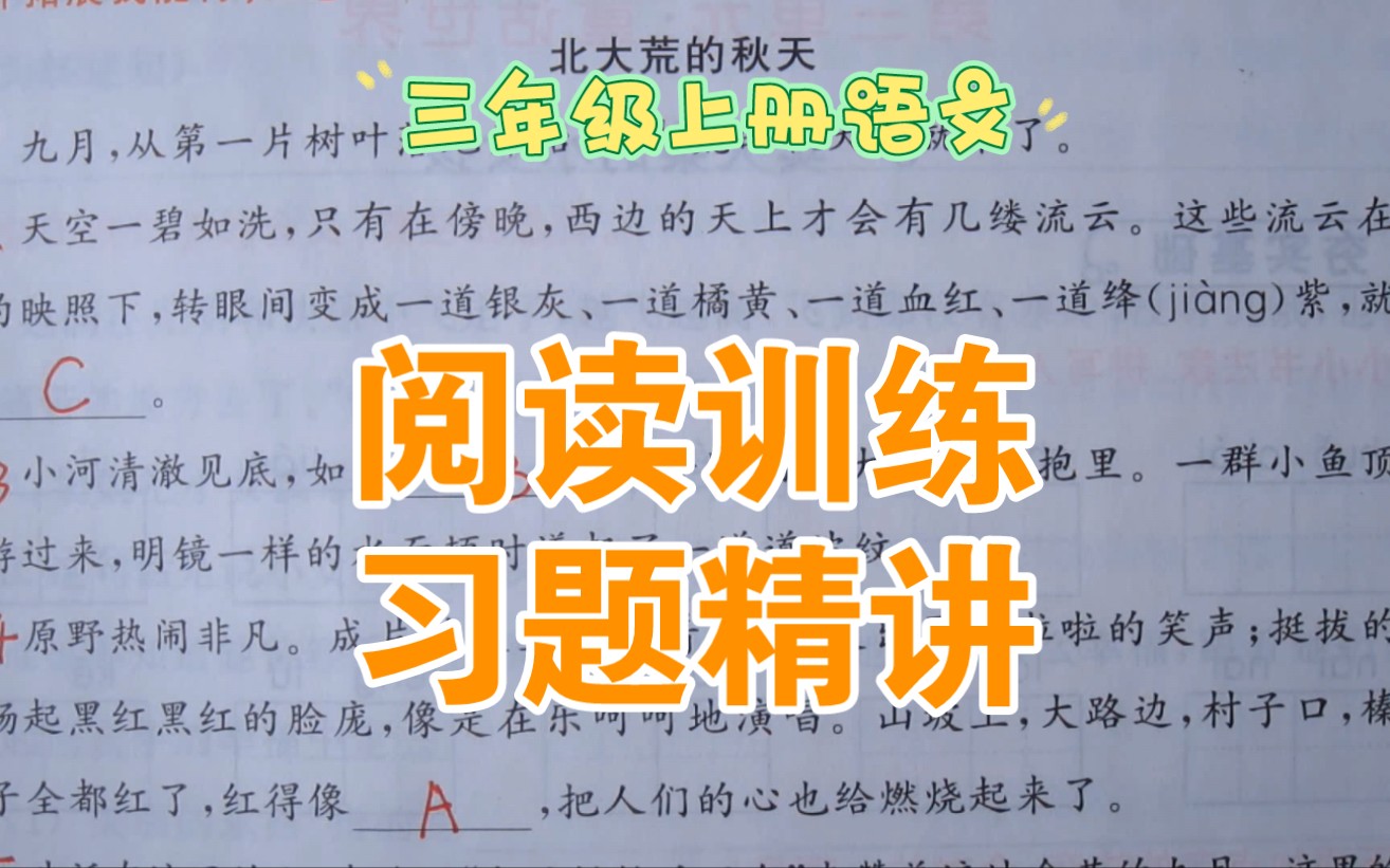 三上语文课外阅读训练(4)——北大荒的秋天,一副迷人的油画!哔哩哔哩bilibili