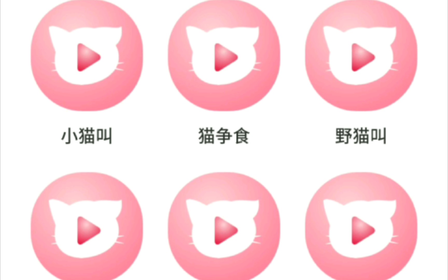 【猫语翻译APP】好用吗?哔哩哔哩bilibili