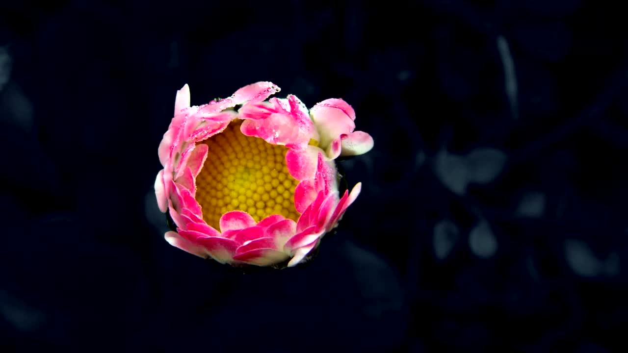 giy辜肺斩俳纯张惨业诓眉铣狗