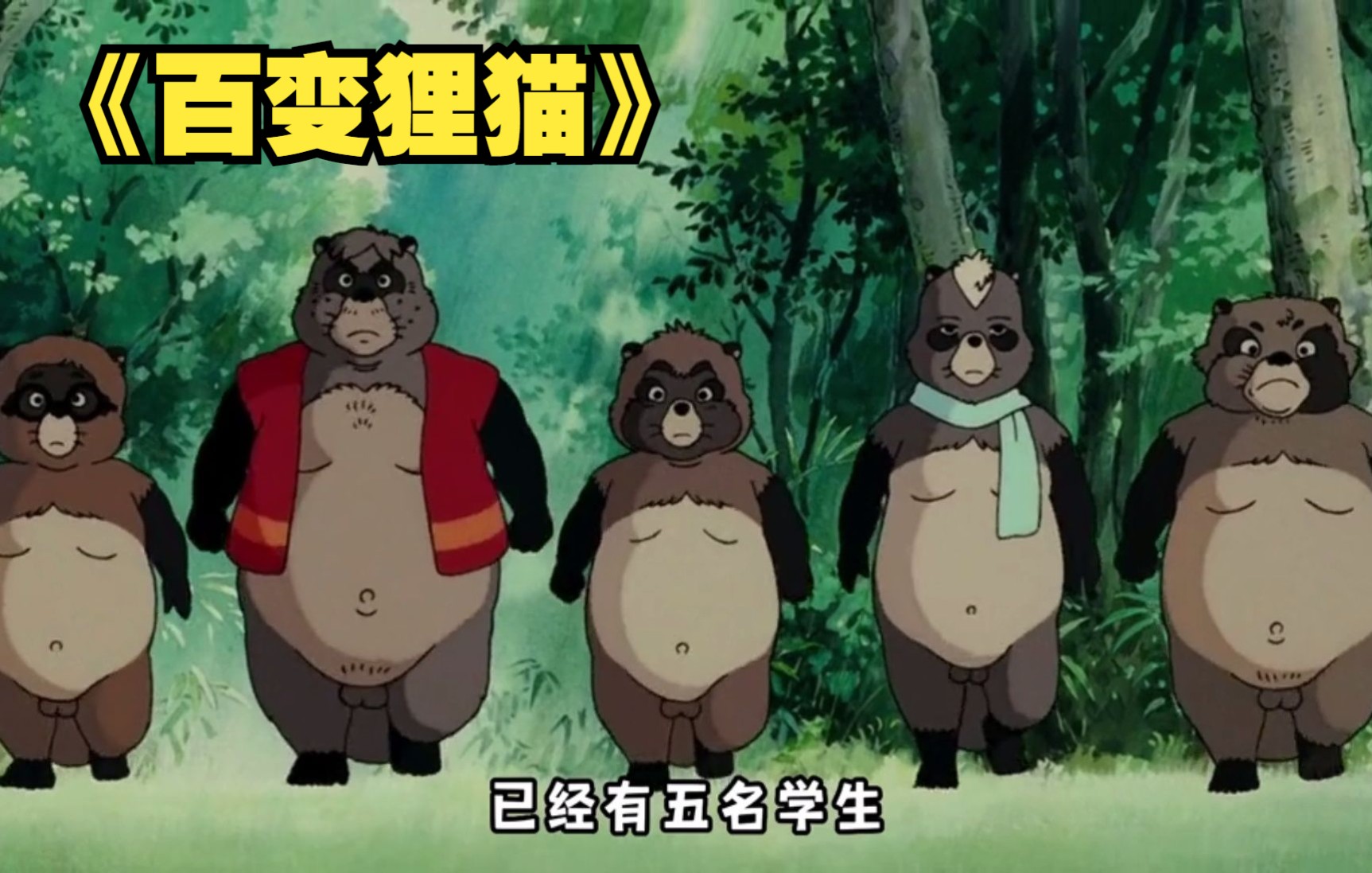 经典回忆！一口气看完经典动漫《百变狸猫》希望大家能够喜欢