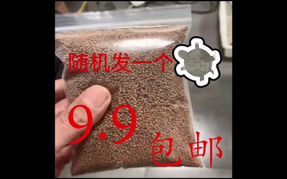 [图]龟宠哥双十一活动100g散装龟粮送新手福利，神秘小家伙包邮送到家