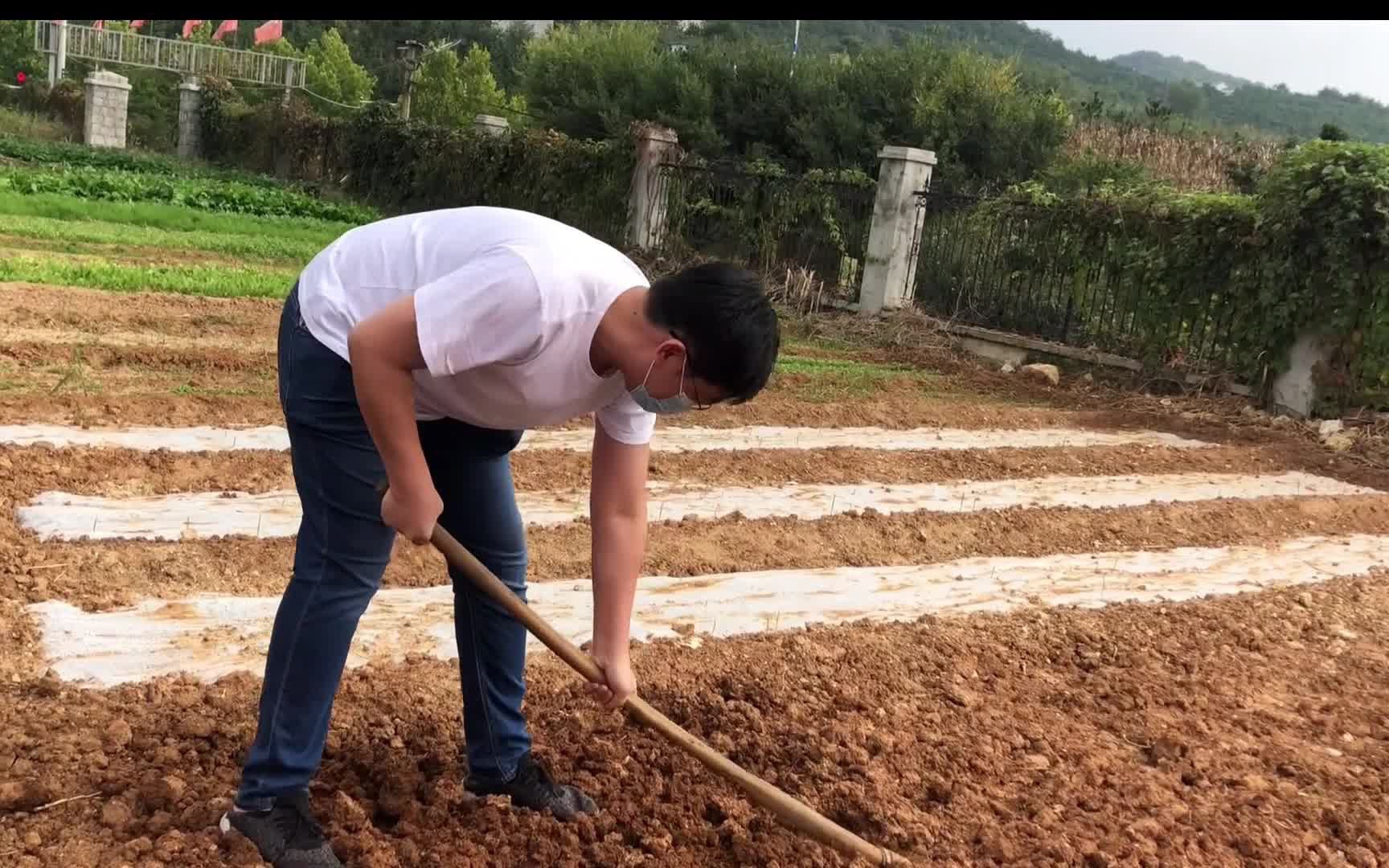 [图]十一Vlog 当代青年种地现状之回家种地