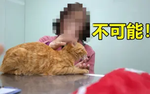 Descargar video: 【宠物医院3】看点3-2：小猫高烧怀疑猫瘟，主人拒绝检查，“它又没出门”