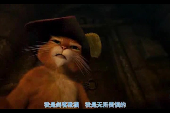 萌猫三剑客配音片段哔哩哔哩bilibili