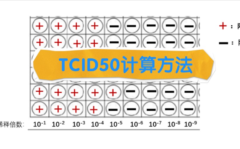 [图]关于TCID50计算方法（以实例讲解）