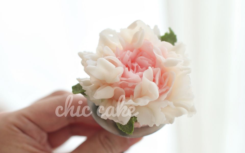 工作室 许小厨娘 韩式裱花 裱花教学 奶油霜 裱花 原创系列 康乃馨