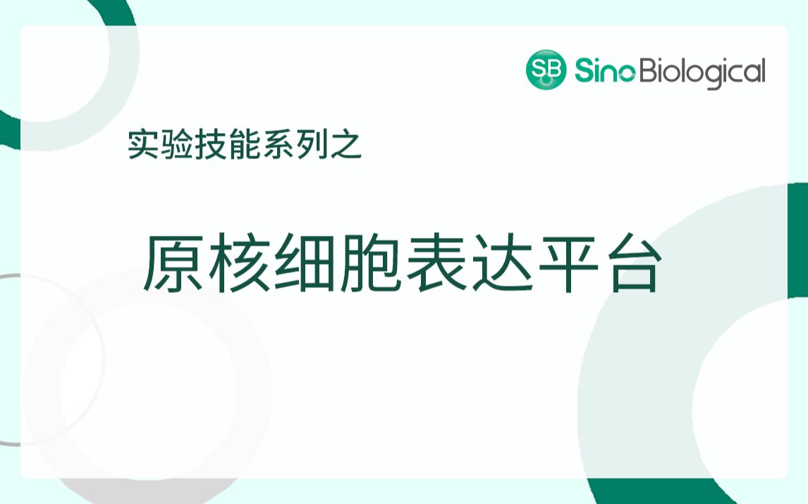 实验技能|原核细胞平台哔哩哔哩bilibili