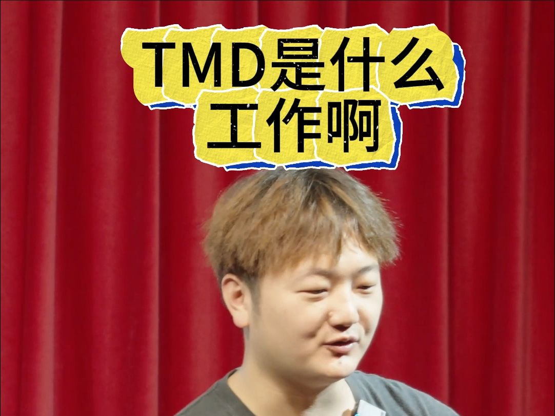 TMD是什么工作啊哔哩哔哩bilibili