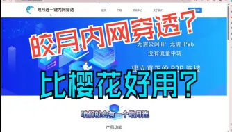 Download Video: 最新内网穿透教学，比樱花更好用简单？