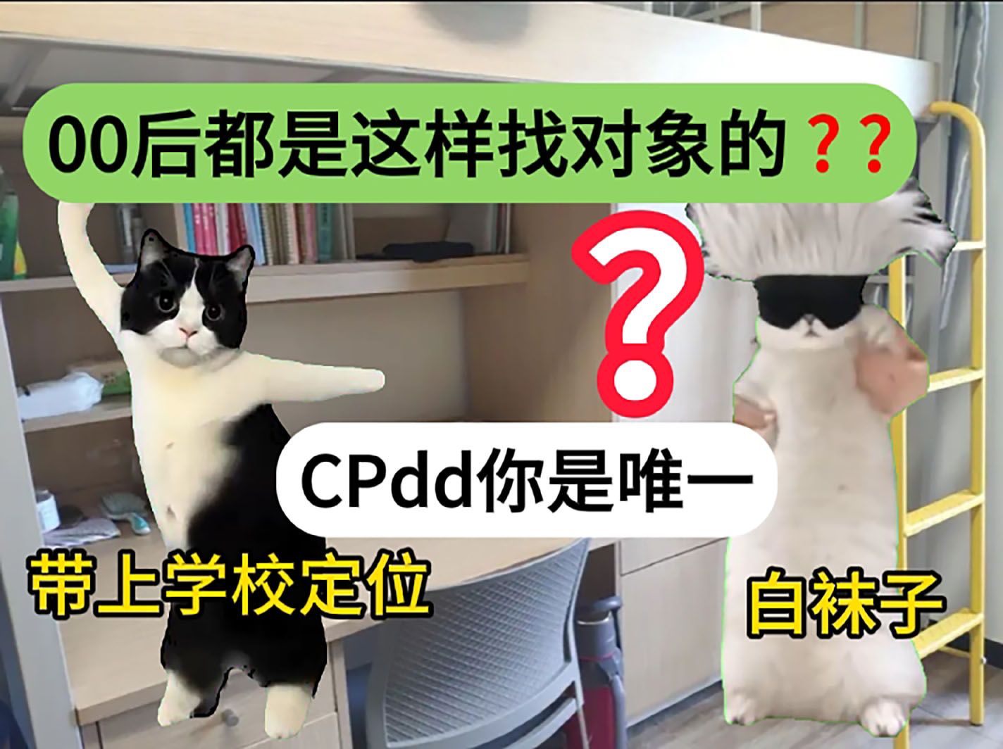 [图]【猫meme】当代00后大学生快餐式恋爱现状