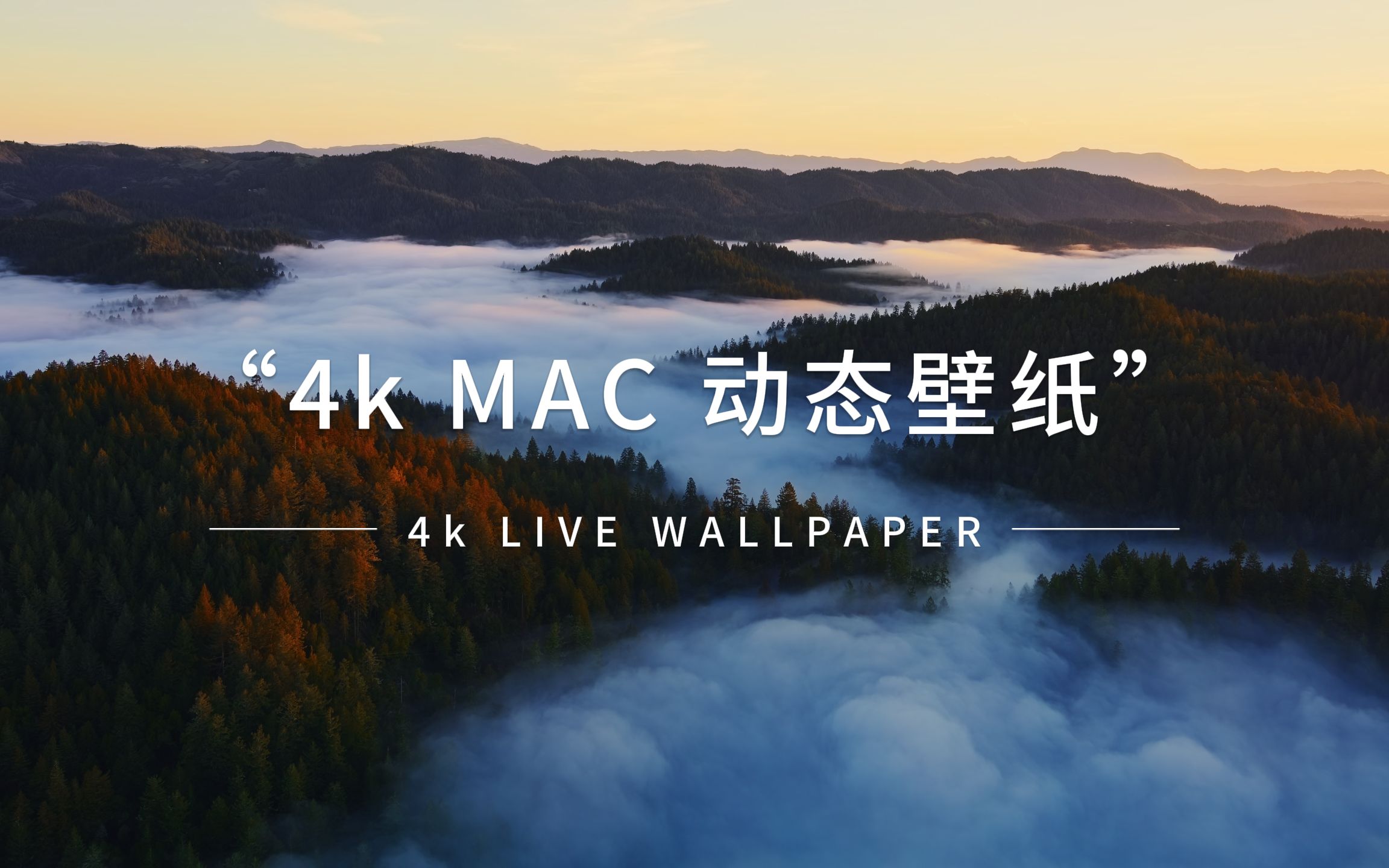 【4k 240FPS】 动态壁纸 macOS Sonoma系统新增壁纸(可下载)哔哩哔哩bilibili