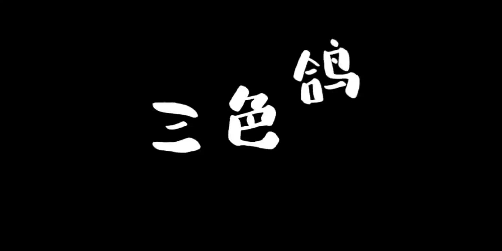 《三色鸽》—数字影像实技作业哔哩哔哩bilibili