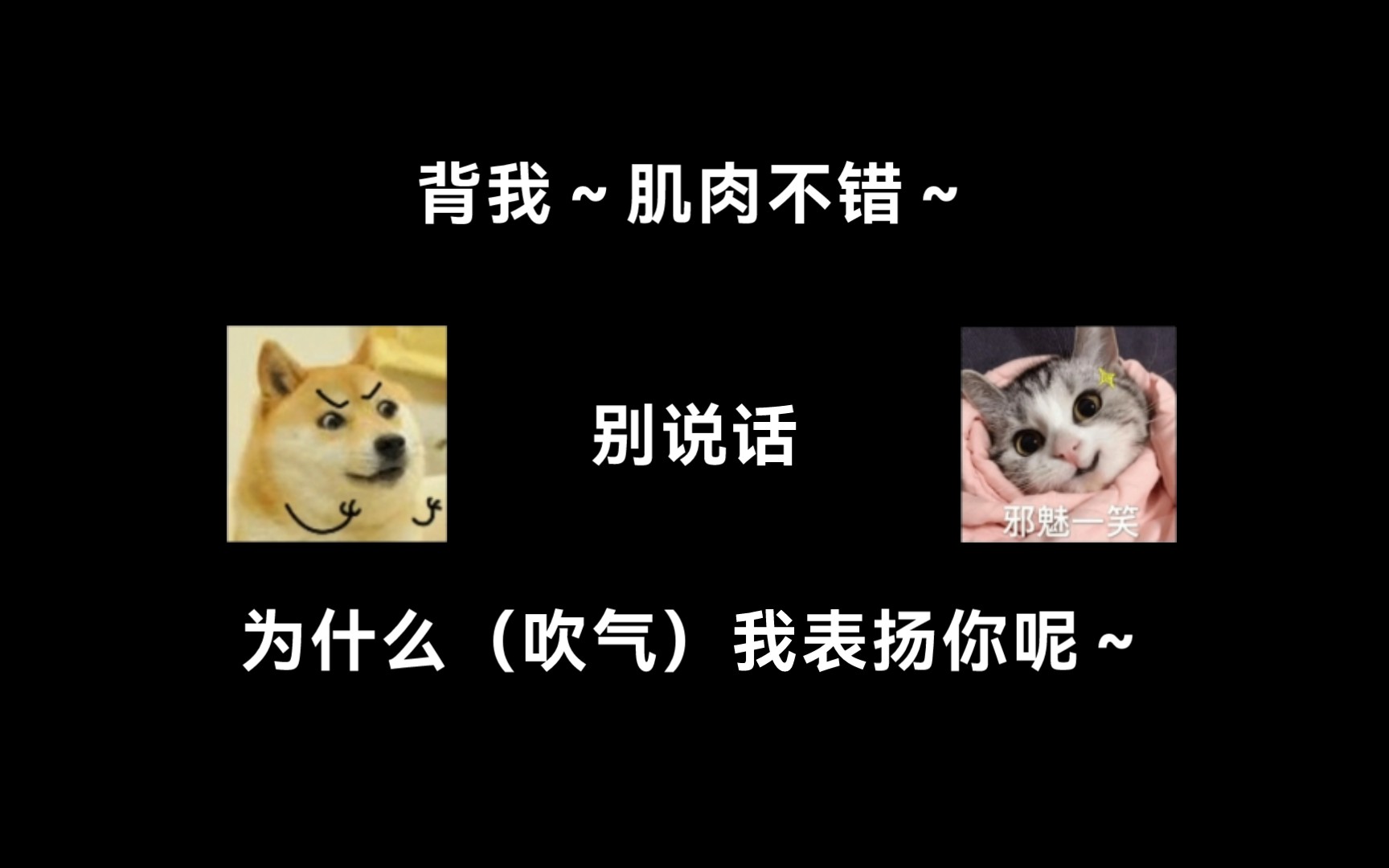 【飞来横犬丨大鲲*金弦】北哥训狗 祖宗专业户!哔哩哔哩bilibili